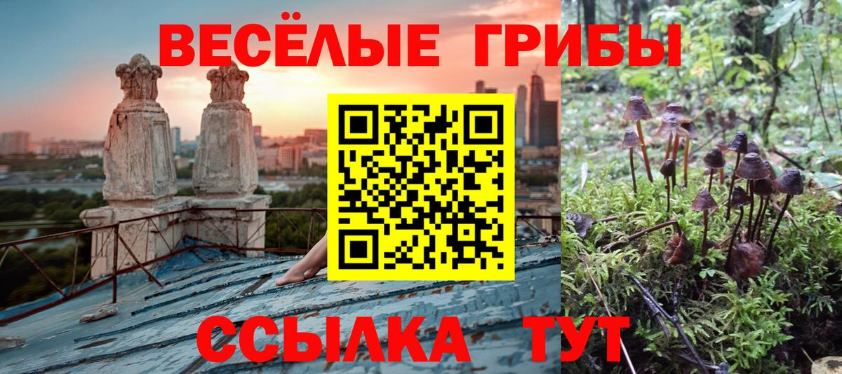 Псилоцибиновые грибы Psilocybe  Псилоцибиновые грибы MAGIC MUSHROOMS  Асино  Вход с VPN 
